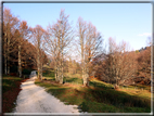 foto Valle delle Mura in Autunno